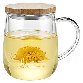Bình Lọc Trà Thủy Tinh Samadoyo S025A (500ml)