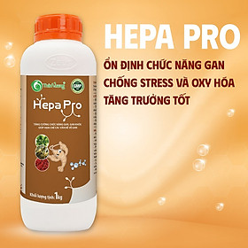 HEPA PRO - Tăng cường chức năng gan, gan khỏe giúp hạn chế các vấn đề về gan