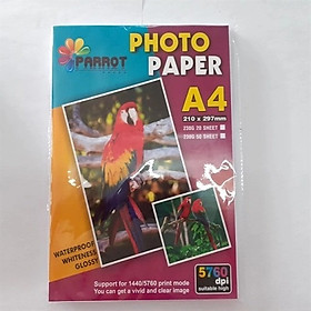 Mua Giấy in ảnh Parrot 230Gsm A4 1 mặt bóng