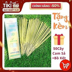 Mua Hộp 180cây nhang khuynh diệp nhang sạch Dương Minh 100% thành phần tự nhiên