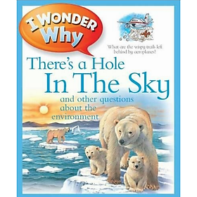 [Download Sách] I Wonder Why There's a Hole in the Sky