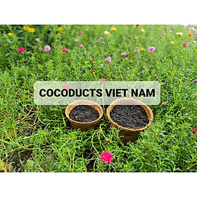 Mix hoa mười giờ & Coir Pot siêu dễ thương (20-25 cành & 5-6 màu)