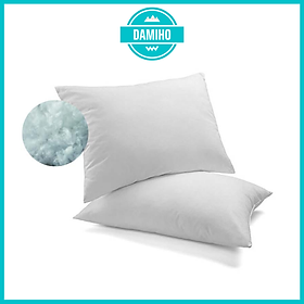 Mua Combo 2 ruột gối hơi 50x70cm  2 ruột gối hơi 50x70cm ruột gối ngủ có dây kéo giặt được gòn