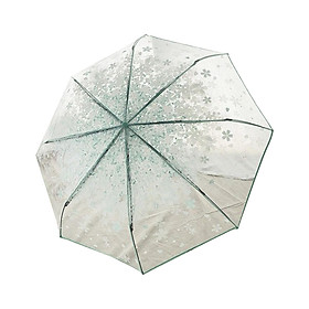 Clear Bubble Umbrella Transparent Umbrella Lightweight Long Sakura Compact Cute Folding Umbrella Dome Umbrella for Adult travel Outdoor