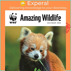 Sách - WWF Amazing Wildlife Square Wall Calendar 2024 by  (UK edition, paperback)