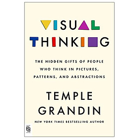 Hình ảnh sách Visual Thinking: The Hidden Gifts Of People Who Think In Pictures, Patterns, And Abstractions
