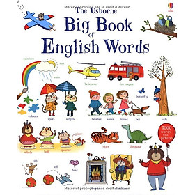 Sách tiếng Anh - Usborne Big Book of English Words