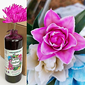 Mua Màu Nhuộm Hoa Tươi Cắt Cành Công Nghệ Israel The Color Sodium (Chai 1 lít) là chế phẩm sinh học an toàn dùng đổi màu hoa tươi tại nhà và shop hoa
