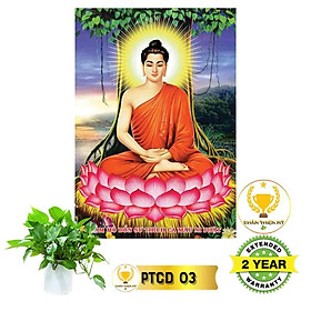 Mua Tranh Phật Thích Ca có khung_PTCK1