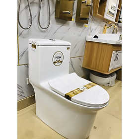 Mua Bệt vệ sinh liền khối PDN 866 - Hàng Chính Hãng