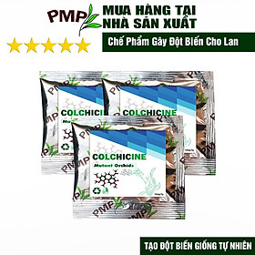Mua 3 Gói Coisicin Gây Đột Biến Lan