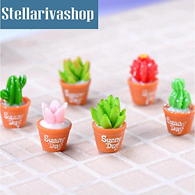 Mua Tiểu Cảnh - Chậu cây sen đá và xương rồng làm tiểu cảnh terrarium/ mô hình trang trí quà tặng trang trí