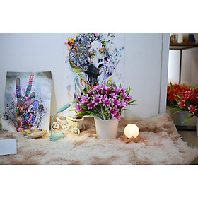 Chậu hoa lily nhựa cao cấp trang trí nội thất đẹp