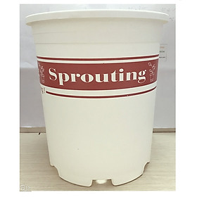 1 Chậu Nhựa Trắng Size 3 (3Gal) Sprouting -Gieo Mầm Cuộc Sống