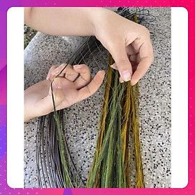 Mua Cung bẫy cút bộ 10 cái.thép AC  lưới dù siêu bền