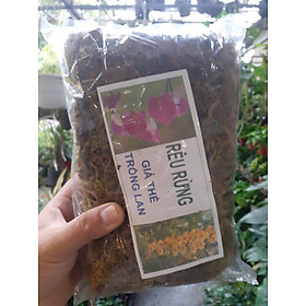  Gói Rêu rừng – giá thể trồng lan 
