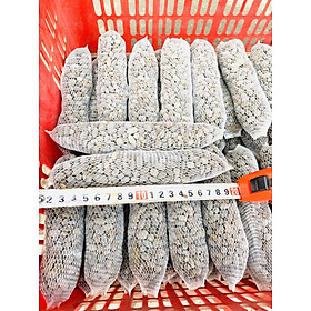 Mua Bán phân dê khô bón cho lan túi lưới 20cm hàng đẹp  phân phối chuyên nghiệp