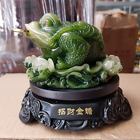Mua Cóc ngậm tiền phong thủy đường kính 14 cm