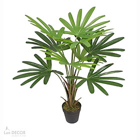 CỌ RỪNG TRANG TRÍ LANDECOR 2 KÍCH THƯỚC