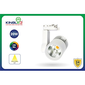 Đèn Led Rọi Ray 20W Beryl (DTL-20SS) KINGLED