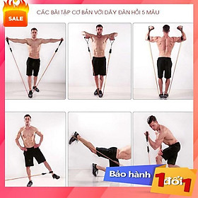 Bộ 5 Dây Ngũ Sắc Đàn Hồi Kháng Lực Tập Gym , Fitness , Yoga- Dụng cụ tập gym, Dụng cụ tập yoga,bảo hành 1 đổi 1