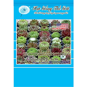 5h Hạt Giống Sen Đá Mỹ - Mix Mini