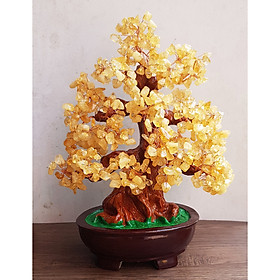Mua Cây Tài Lộc bằng đá thạch anh thiên nhiên size 30cm - đá thạch anh vàng thu hút tài lộc