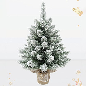 Cây Thông Mini Đầu Nhọn Phủ Tuyết - Trang Trí Noel 60 cm - Chaang Chiia LP-FV-HS