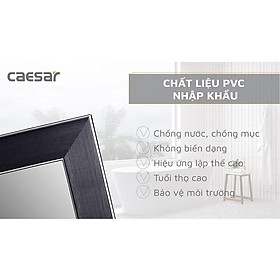Mua Gương phòng tắm M803