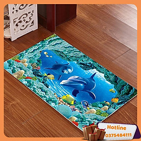 Thảm Lau Chân 3D Thảm Lau Chân 40X60Cm  - Hàng Loại 1