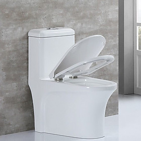 Mua Bồn Cầu 1 Khối  YS-1005