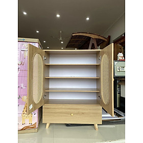Tủ kệ giày 2 cánh cánh mây HC -418