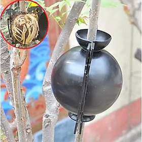 Mua Combo 5 Bầu Chiết Cành Cây  Hộp Chiết Cây  Dụng Cụ Chiết Cành Chuyên Dụng