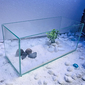 Bể cá để bàn - 30x13x15 tặng phụ kiên- hồ cá mini