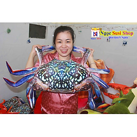 THÚ BÔNG CON CUA ĐỎ , GHẸ BÔNG CHO BÉ YÊU