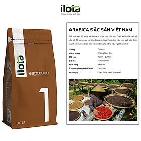 Cà phê rang mộc 100% Arabica Đặc Sản Việt Nam 250g/500g - ILOTA Coffee Roasters