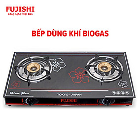 Mua Bếp gas đôi BIOGAS mặt kính chén đồng Fujishi FJ-BG7 - (Bếp chỉ dùng khí BIOGAS) - Hàng chính hãng