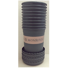 Bộ Chậu Nhựa Trồng Hoa Cây Cảnh MONROVIA CN 1Gal