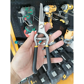 Mua KÉO CẮT CÀNH CÁN NHUNG 200mm TOLSEN 31019 - HÀNG CHÍNH HÃNG