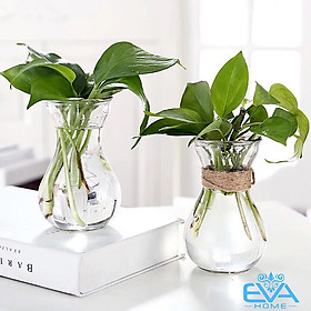 Mua Bình   lọ thủy tinh miệng loe cổ thắt cắm hoa trang trí