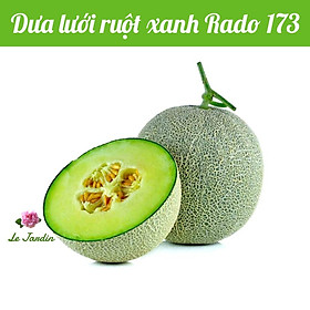 Hạt giống Dưa Lưới Ruột Xanh gói 10 hạt - Sinh trưởng mạnh
