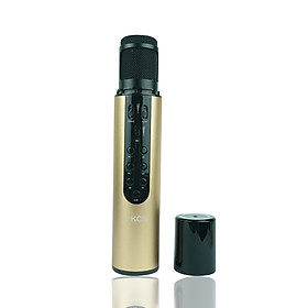 Micro Karaoke Bluetooth Kèm Loa Không Dây PKCB Hát Cực Hay, Âm Cực Chuẩn - Hàng Chính Hãng
