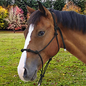 Horse Rope Training Halter Farm Durable Adjustable Horse Halters