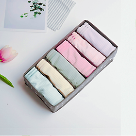 Mua Hộp Đựng Đồ Lót Gấp Gọn 6 Ngăn Morning House- Form Vải Đứng  Gấp Gọn Dễ Dàng  Sắp Xếp Các Loại Tất  Đồ Lót Rất Gọn