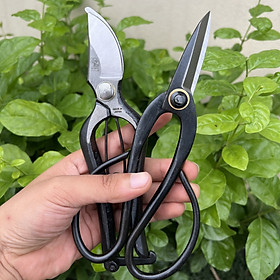 Mua Combo Kéo Cắt Cành + Kéo Tỉa lá  Tỉa Dăm Thép Đúc Nguyên Khối  Chuyên Dụng Cắt Tỉa Bonsai  Cây Cảnh