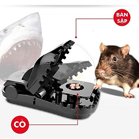 Dụng cụ bẫy chuột thông minh