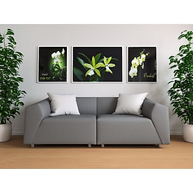Mua Tranh Treo Tường Hiện Đại Phòng Khách - 60090