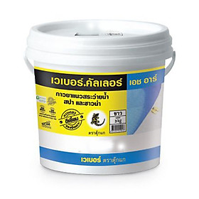 Keo chà ron / chít mạch 2 thành phần gốc xi măng chuyên dùng cho HỒ BƠI, PHÒNG XÔNG HƠI- Weber.color -HR (màu trắng)