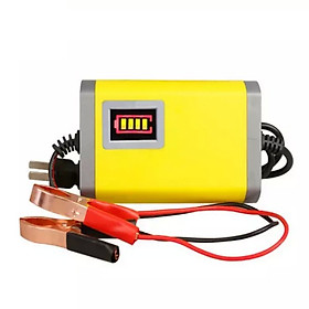 Máy Sạc Bình Ắc Quy Tự Động Cho Xe Máy (12V 2A)