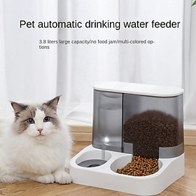 Máy cấp nước uống, thức ăn cho chó mèo Automatic Feeder Water Dispenser